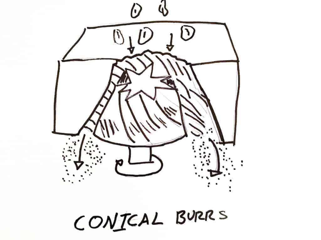 Conical burr grinder diagram
