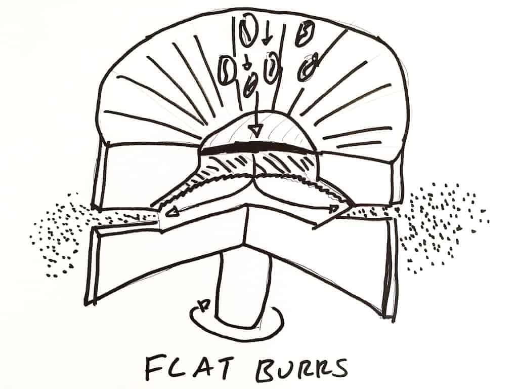 Flat burr coffee grinder diagram