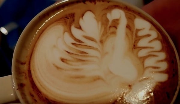 Phoenix Step 5 latte art phoenix