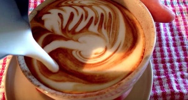 Latte Art Swans - How to Pour the Best Latte Art?