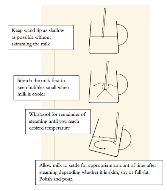 steamed milk infograph