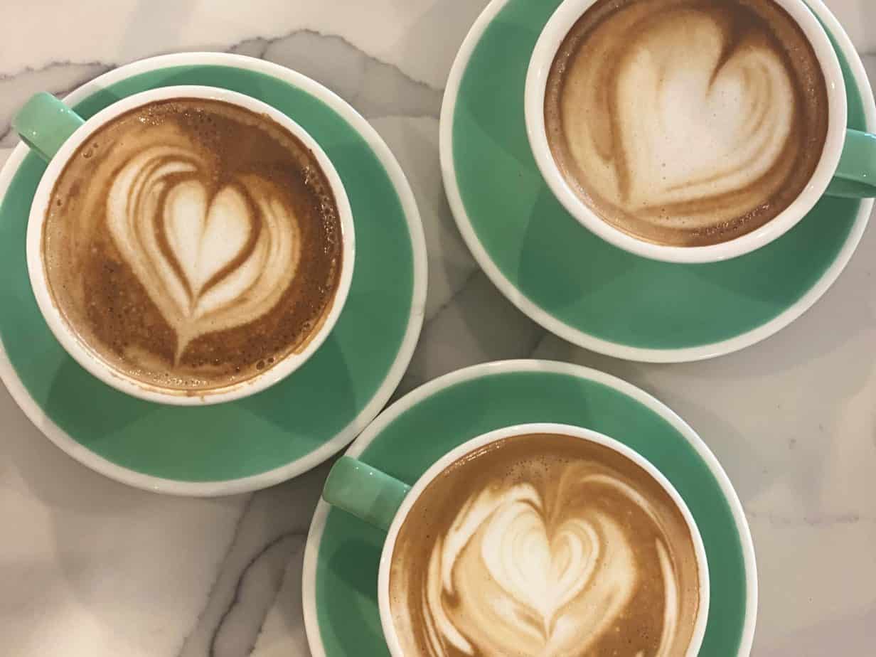 Latte Art Swans - How to Pour the Best Latte Art?