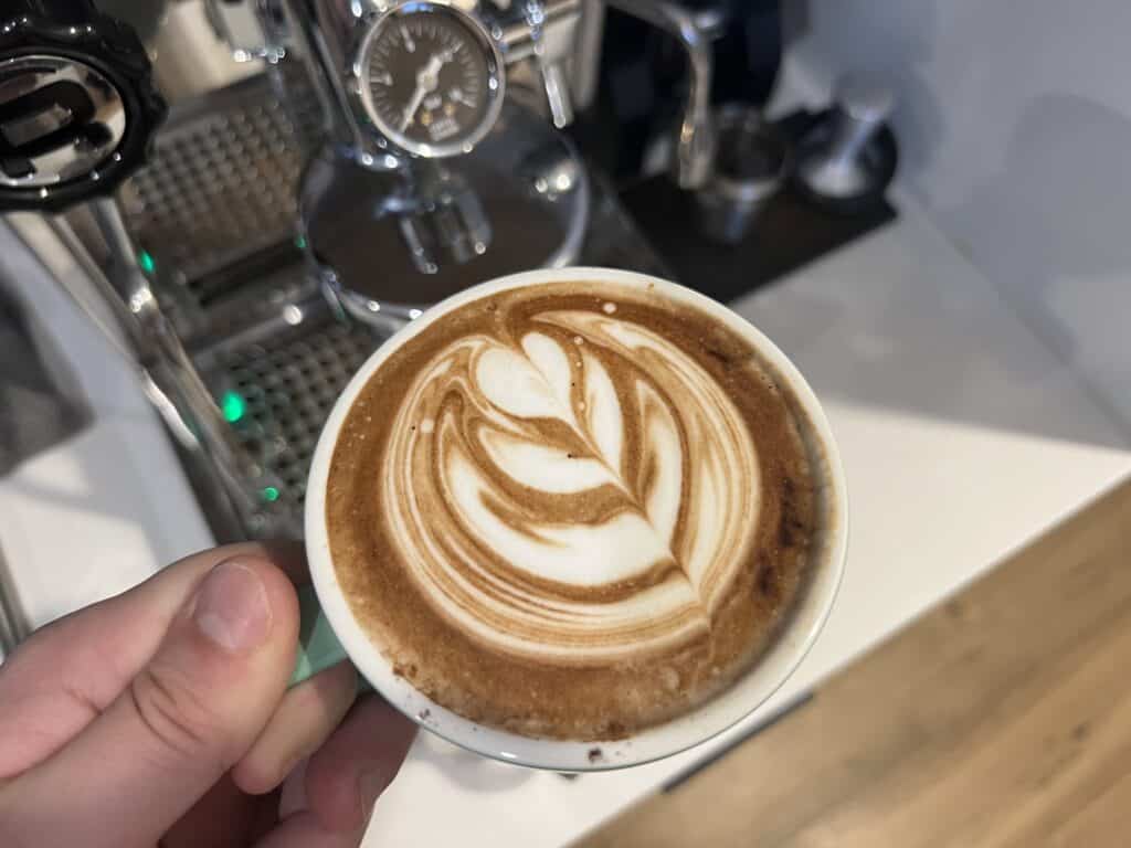 sail mocha