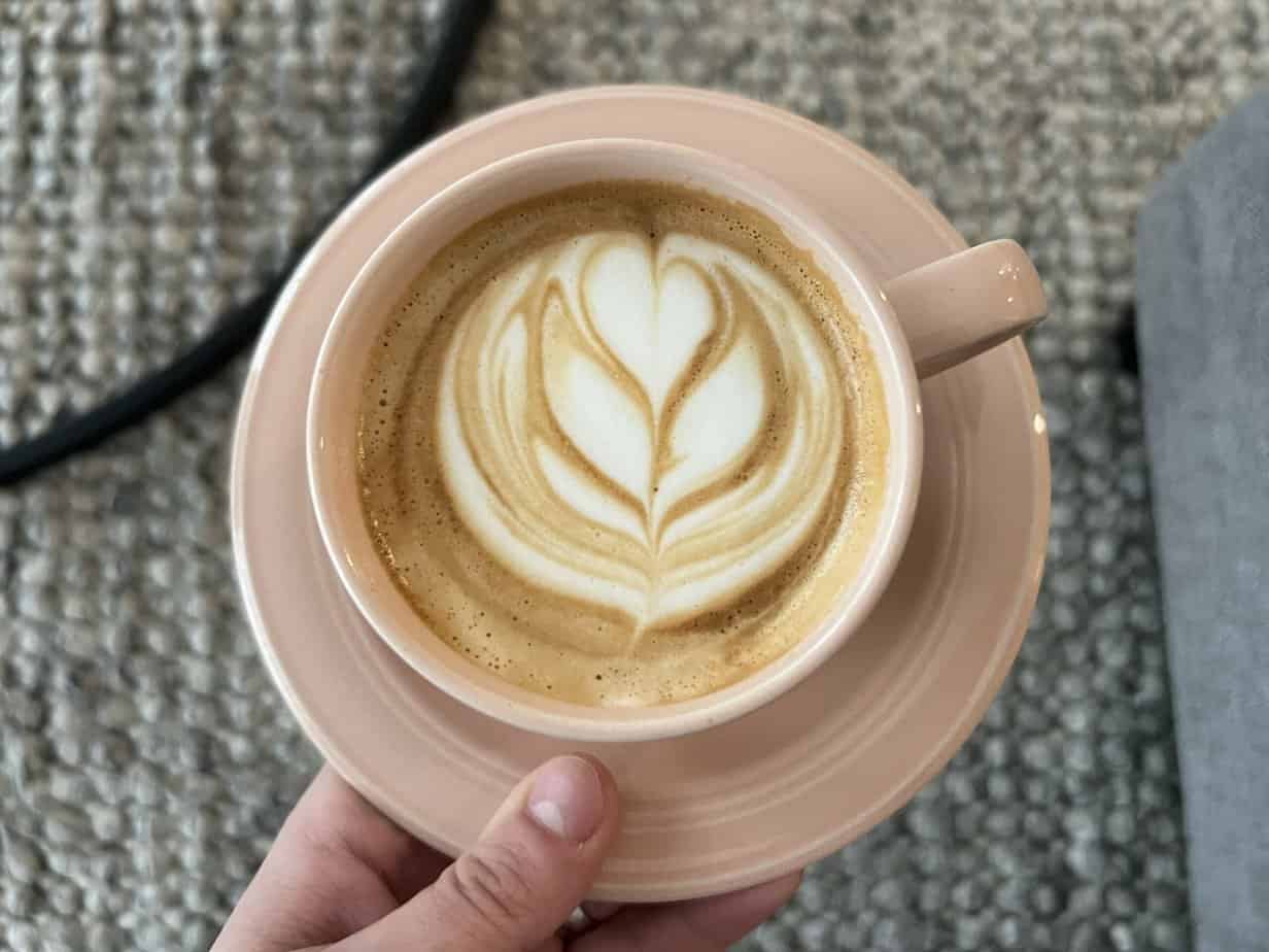 Tuplip latte art frothed Tulip latte art